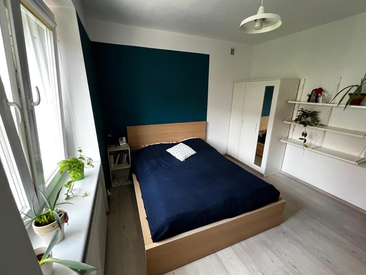 Przyjazne Mieszkanie W Centrum Gdanska Apartman Kültér fotó